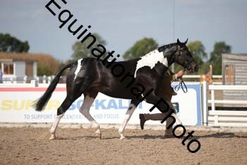 FQN-2091