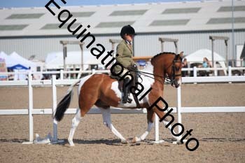 FQN-2201