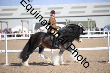 FQN-2208