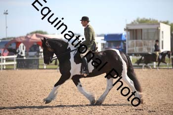 FQN-2241