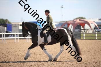 FQN-2242