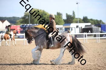 FQN-2243