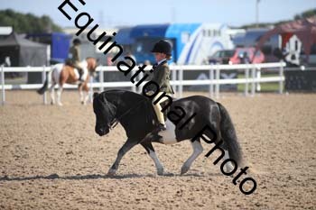 FQN-2246