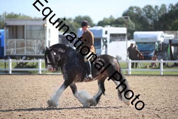 FQN-2258