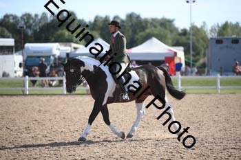 FQN-2273