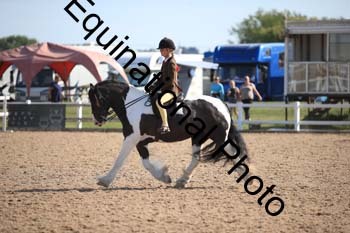 FQN-2281