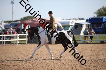FQN-2283
