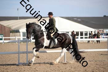 FQN-2288