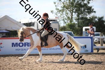 FQN-2308
