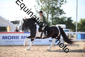 FQN-2318