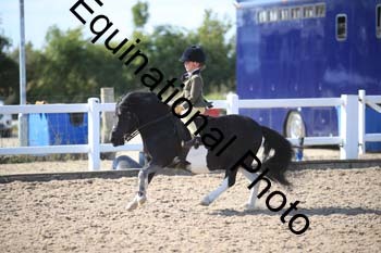 FQN-2348