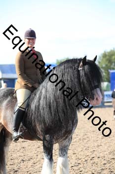FQN-2373