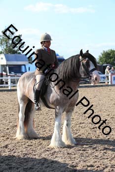 FQN-2381