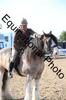 FQN-2386