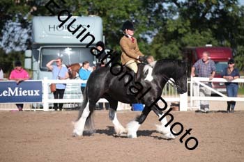 HMP-1101