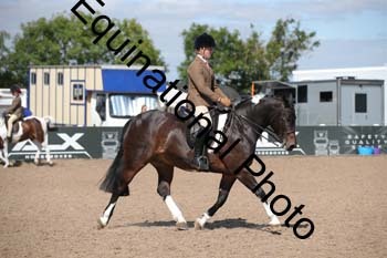 HMP-1789