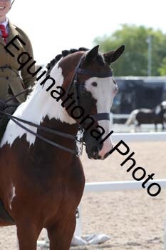 HMP-1850