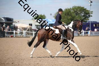 HMP-2271