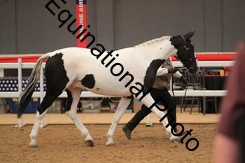 RAW-1303