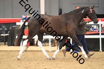 RAW-1400