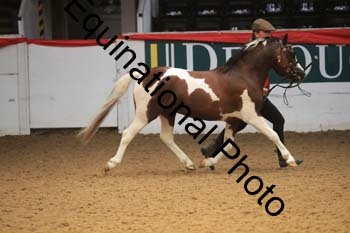 RAW-1768