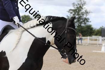 JUN-1346
