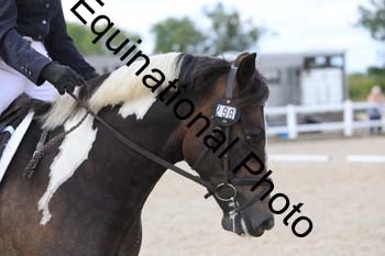 JUN-1381