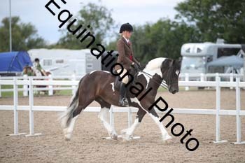 CCZ-1795