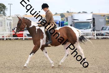 NTY-1206