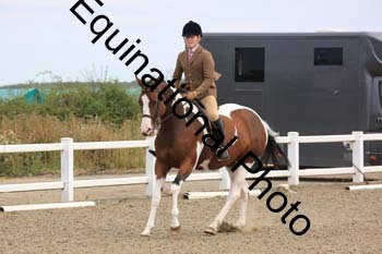 NTY-1208