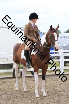 NTY-1209