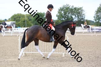 NTY-1228