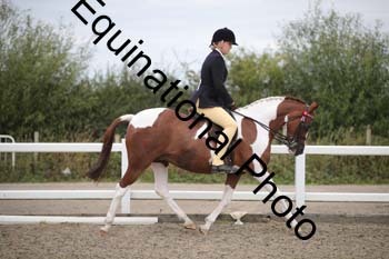 NTY-1255
