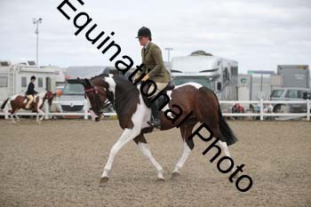 NTY-1263