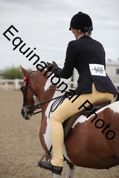 NTY-1273