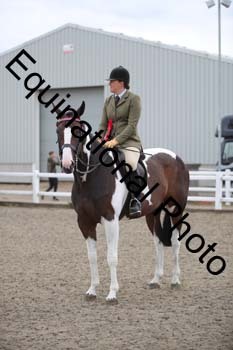 NTY-1290