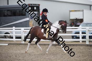 NTY-1301