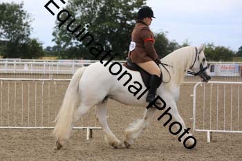 NTY-1303