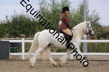 NTY-1307