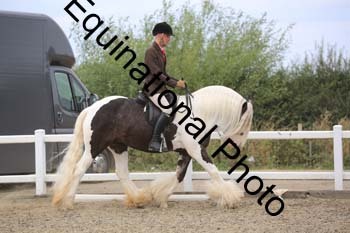 NTY-1349