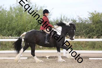 NTY-1365
