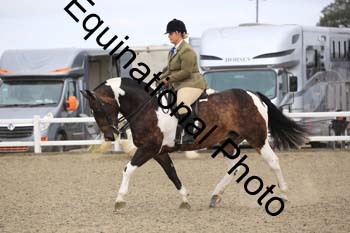 NTY-1372