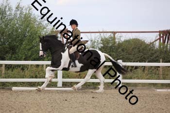 NTY-1394