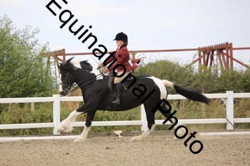 NTY-1399