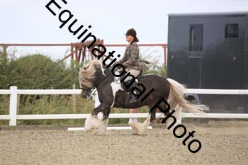 NTY-1405