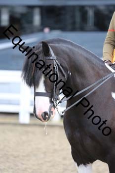 NTY-1419