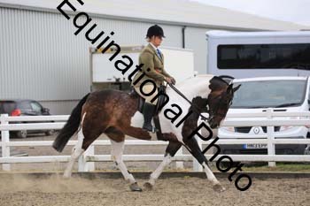 NTY-1428