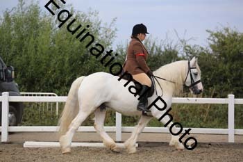 NTY-1443