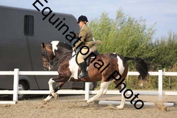 NTY-1480