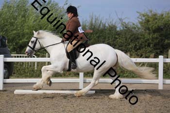 NTY-1487